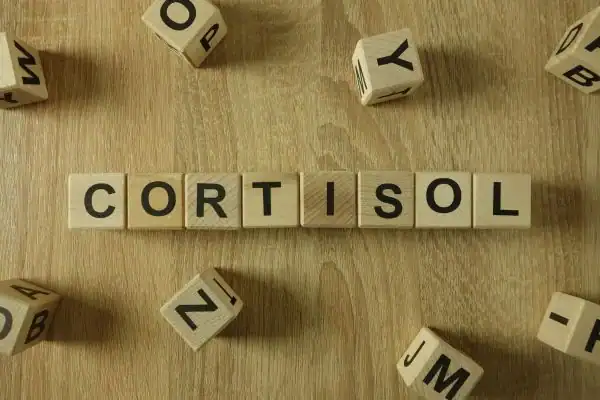 The Hidden Connection: How Stress Shapes Your Fitness and Body Composition 2 Image saying "Cortisol" and how stress Woking impacts your wellbeing and bodies shape